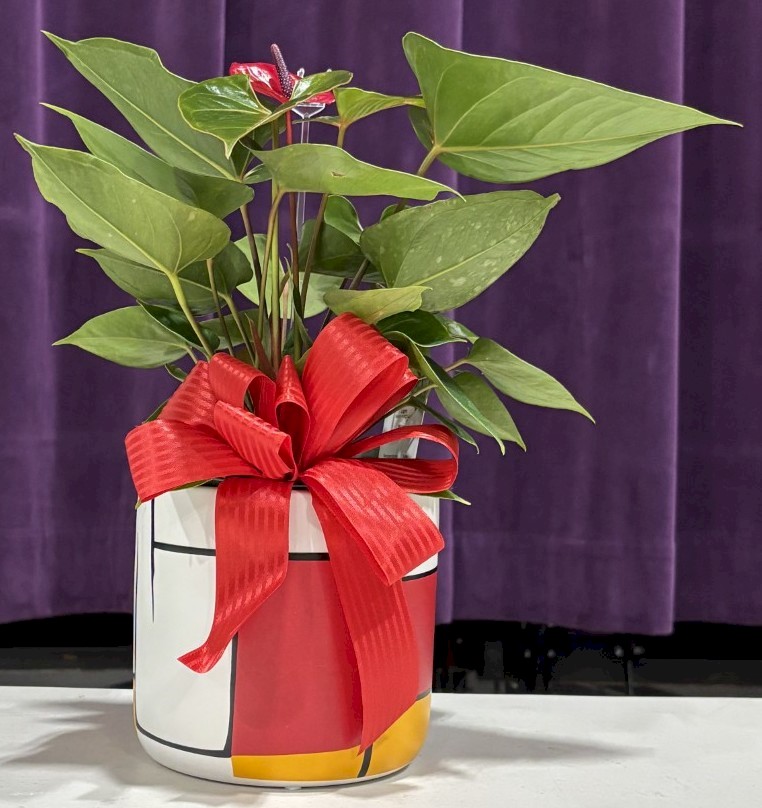 Flowers from Krogmans, Keevers, Janski, and Nankivels