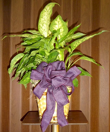 Flowers from Staff at Good Samaritan