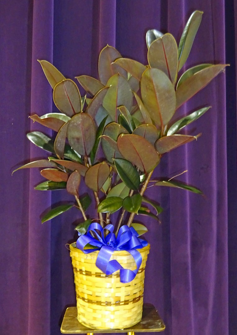 Flowers from Corey and Betty (Sinclair) Peters