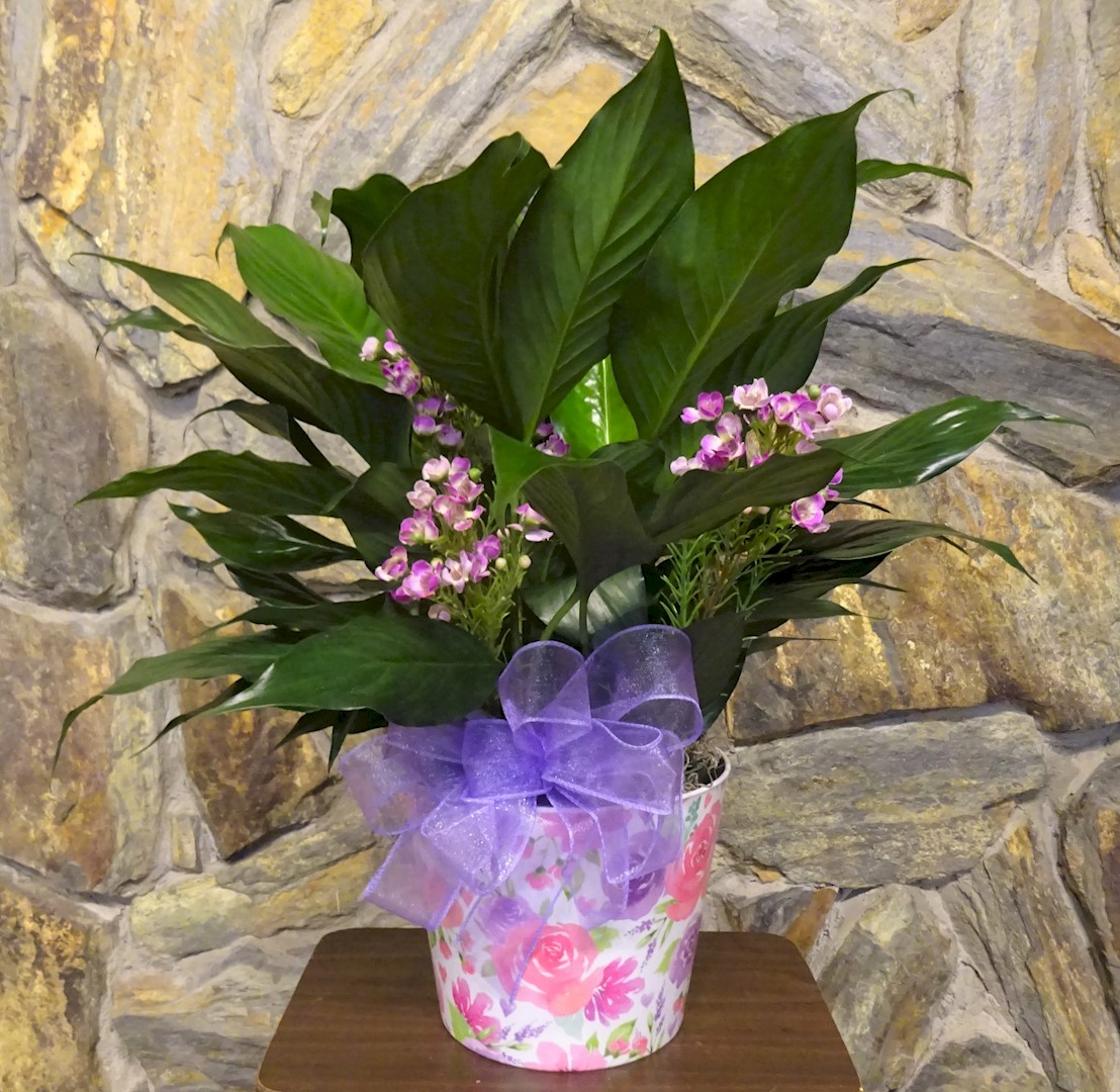 Flowers from Stulken, Petersen, Lingle, Walti, and Jones of Pierre