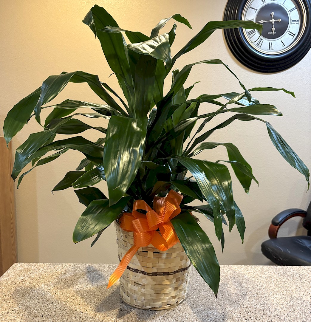 Flowers from LaVonne Hansen; Richard and Angie Holso Family; and Todd Hansen and Julie Jones Family
