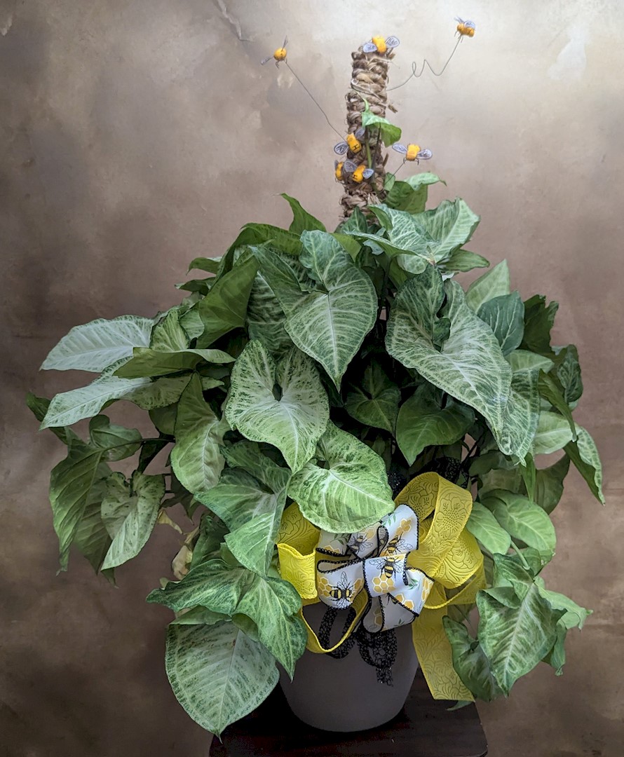 Flowers from Micdo-Diving