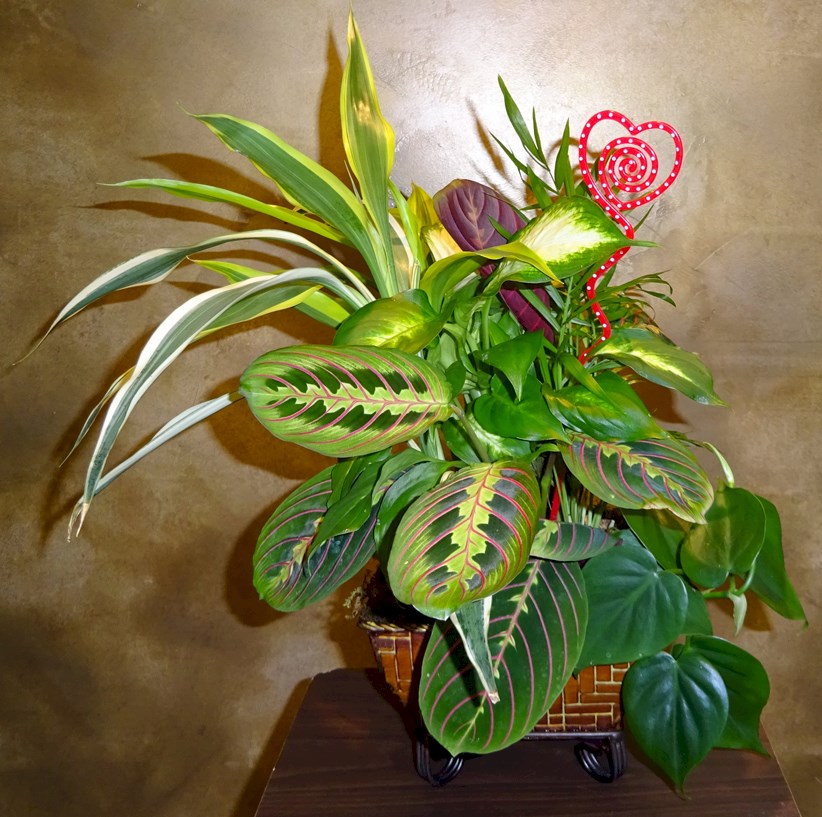 Flowers from To Scotti- From Your Piano Kids
