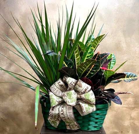 Flowers from The Kerry Barker Family